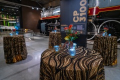 corporate-event-decor-canada-science-technology-museum-37