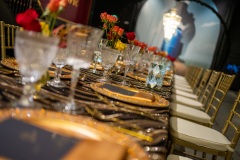 corporate-event-decor-canada-science-technology-museum-46