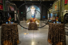 corporate-event-decor-canada-science-technology-museum-48