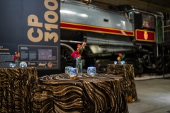 corporate-event-decor-canada-science-technology-museum-64