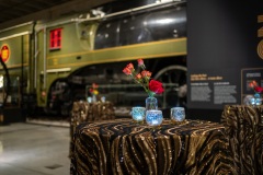 corporate-event-decor-canada-science-technology-museum-65