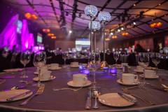 black-tie-gala-reserch-heathcare-doctors-dance-competition-charity-decor-hilton-lac-leamy-11
