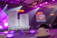 black-tie-gala-reserch-heathcare-doctors-dance-competition-charity-decor-hilton-lac-leamy-24