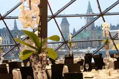 executive-dinner-event-awards-decor-champagne-bliss-orchids-rogers-centre-ottawa-15