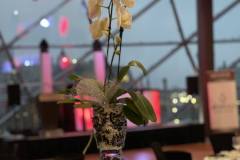 executive-dinner-event-awards-decor-champagne-bliss-orchids-rogers-centre-ottawa-17