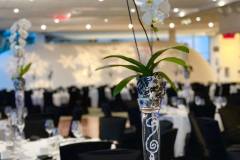 executive-dinner-event-awards-decor-champagne-bliss-orchids-rogers-centre-ottawa-7