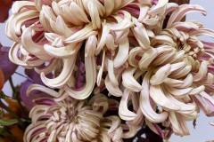 autumn-fall-flowers-wedding-table-candles-centerpieces-hilton-lac-leamy-29