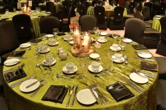 Fallsview Casino Resort-VIP Corporate Awards Gala-Niagara-Falls