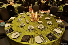 Fallsview Casino Resort-VIP Corporate Awards Gala-Niagara-Falls