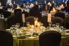 Fallsview Casino Resort-VIP Corporate Awards Gala-Niagara-Falls