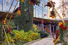HILTON LAC LEAMY_OUTDOOR WEDDING CEREMONY_WEDDING DECORATOR OTTAWA
