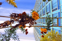 HILTON LAC LEAMY_OUTDOOR WEDDING CEREMONY_WEDDING DECORATOR OTTAWA