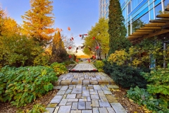 HILTON LAC LEAMY_OUTDOOR WEDDING CEREMONY_WEDDING DECORATOR OTTAWA