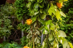 Hilton Lac Leamy Garden Ceremony - Wedding Decor Ottawa