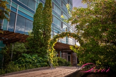 Hilton Lac Leamy Garden Ceremony - Wedding Decor Ottawa