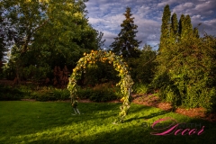 Hilton Lac Leamy Garden Ceremony - Wedding Decor Ottawa