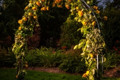 Hilton Lac Leamy Garden Ceremony - Wedding Decor Ottawa