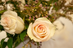 Canadian Museum of Nature - Wedding Reception Decor at Barrick Salon - Jenny and Karl