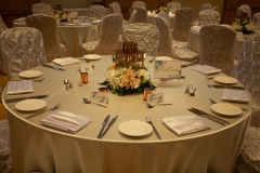 Canadian Museum of Nature - Wedding Reception Decor at Barrick Salon - Jenny and Karl