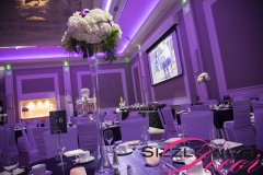 Wedding Decor _ Infinity Convention Centre-Kavita and Keith Wedding Reception
