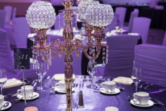 Wedding Decor _ Infinity Convention Centre-Kavita and Keith Wedding Reception