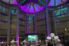 Sizzle-With-Decor-Northern-Lights-Aurora-Borealis-Colors-Luxury-High-End-Event-Gala-Decor-National-Gallery-of-Canada-003