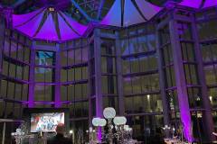 Sizzle-With-Decor-Northern-Lights-Aurora-Borealis-Colors-Luxury-High-End-Event-Gala-Decor-National-Gallery-of-Canada-005