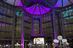Sizzle-With-Decor-Northern-Lights-Aurora-Borealis-Colors-Luxury-High-End-Event-Gala-Decor-National-Gallery-of-Canada-010