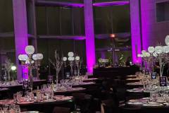 Sizzle-With-Decor-Northern-Lights-Aurora-Borealis-Colors-Luxury-High-End-Event-Gala-Decor-National-Gallery-of-Canada-020