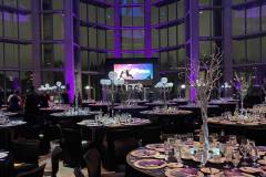 Sizzle-With-Decor-Northern-Lights-Aurora-Borealis-Colors-Luxury-High-End-Event-Gala-Decor-National-Gallery-of-Canada-023