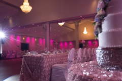 Centurion Conference and Event Center - Mae and Mustafa