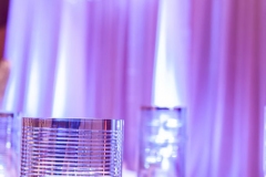 Hilton Lac Leamy - Priscilla and Darryl - Wedding Decor Otttawa