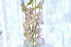 White-wedding-decor-classic-style-hilton-lac-leamy-19