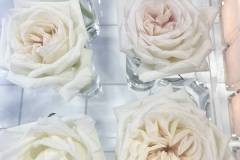 White-wedding-decor-classic-style-hilton-lac-leamy-25