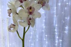 blush-white-wedding-decor-design-ideas-inspiraation-sheraton-ottawa-hotel-12