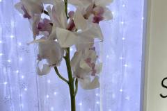 blush-white-wedding-decor-design-ideas-inspiraation-sheraton-ottawa-hotel-9