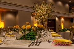 Marriott Ottawa Hotel - VIP Corporate Event Decor