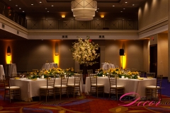 Marriott Ottawa Hotel - VIP Corporate Event Decor