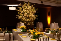 Marriott Ottawa Hotel - VIP Corporate Event Decor