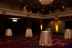 Marriott Ottawa Hotel - VIP Corporate Event Decor