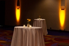 Marriott Ottawa Hotel - VIP Corporate Event Decor