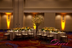 Marriott Ottawa Hotel - VIP Corporate Event Decor