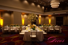 Marriott Ottawa Hotel - VIP Corporate Event Decor