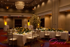 Marriott Ottawa Hotel - VIP Corporate Event Decor