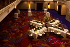 Marriott Ottawa Hotel - VIP Corporate Event Decor