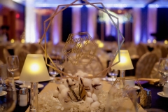 Corporate Event Decor - Hilton Lac-Leamy-VIP Luxury Gala # 1