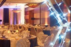 Corporate Event Decor - Hilton Lac-Leamy-VIP Luxury Gala # 1