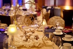 Corporate Event Decor - Hilton Lac-Leamy-VIP Luxury Gala # 1