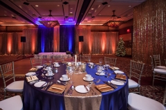 Hilton Lac Leamy - VIP Luxury Gala - Event Decor Ottawa