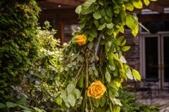 Wedding Decor - Hilton Lac-Leamy - Wedding Ceremony # 1